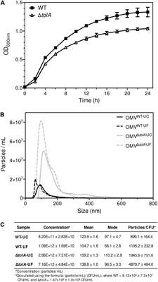 Comparative Analysis of Outer Membrane Vesicle Isolation Methods With an Escherichia coli tolA Mutant Reveals a Hypervesiculating Phenotype With Outer-Inner Membrane Vesicle Content